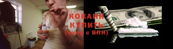 Альфа ПВП Верея