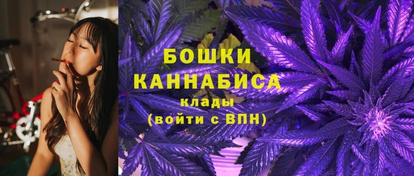 Альфа ПВП Верея