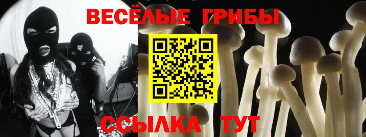 Псилоцибиновые грибы Psilocybine cubensis Свободный