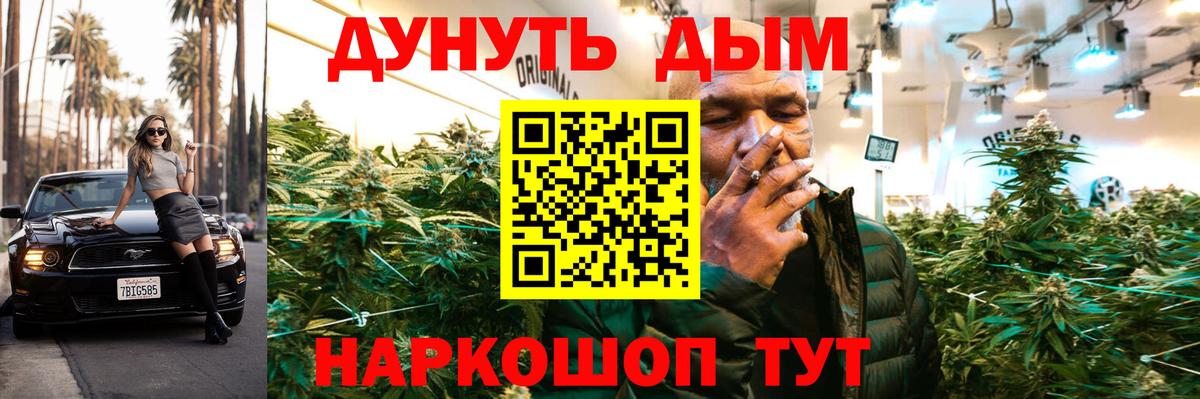 Бошки марихуана план  Вход с VPN  Шишки марихуана Amnesia  Свободный 